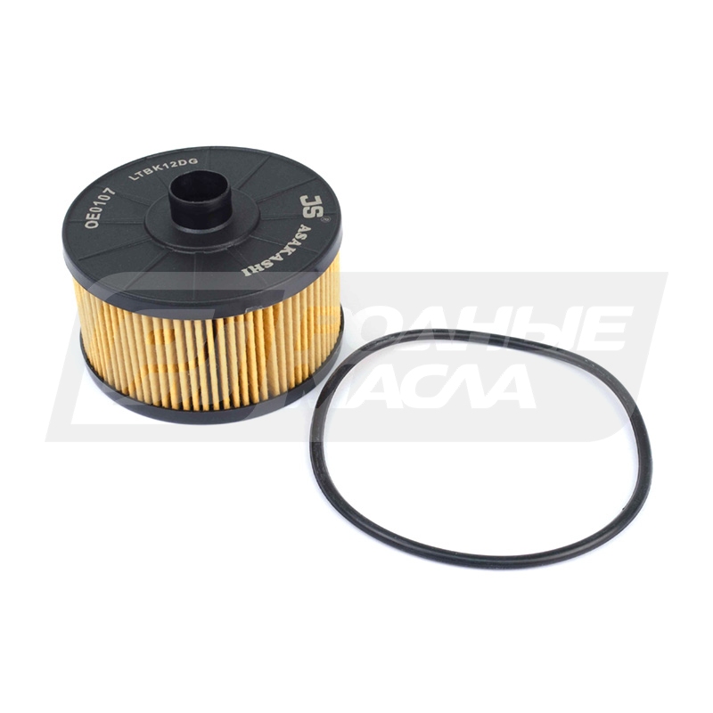 JS ASAKASHI OE0107 (O-Nissan 15209-00Q0F, MB 2001800009) OE0107